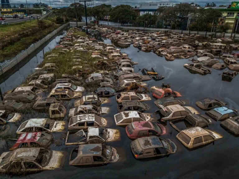 imagem_do_whatsapp_de_2024-05-25_as_15.16.15_d53a6f96-_1_-768x576