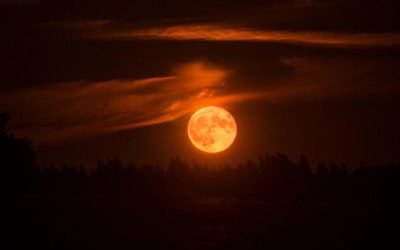 lua-de-sangue-17569