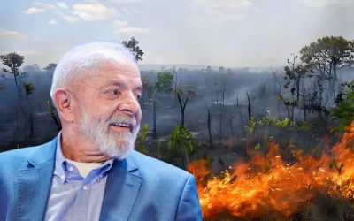 lula-queimadas-scaled-1